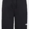 The North Face Mens Graphic Light Shorts