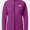 The North Face Womens Summit Futurefleece Jacket