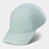 Arc'teryx Mens Bird Word Cap