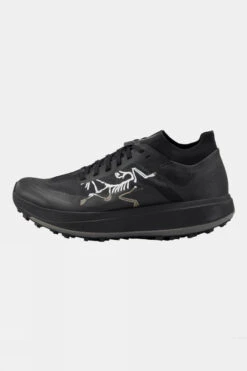 Arc'teryx Mens Sylan Pro Shoes