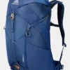 Gregory Arrio 24 Daypack