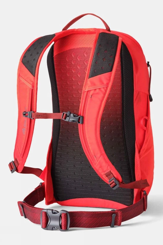 Gregory Kiro 20 Daypack - Image 2
